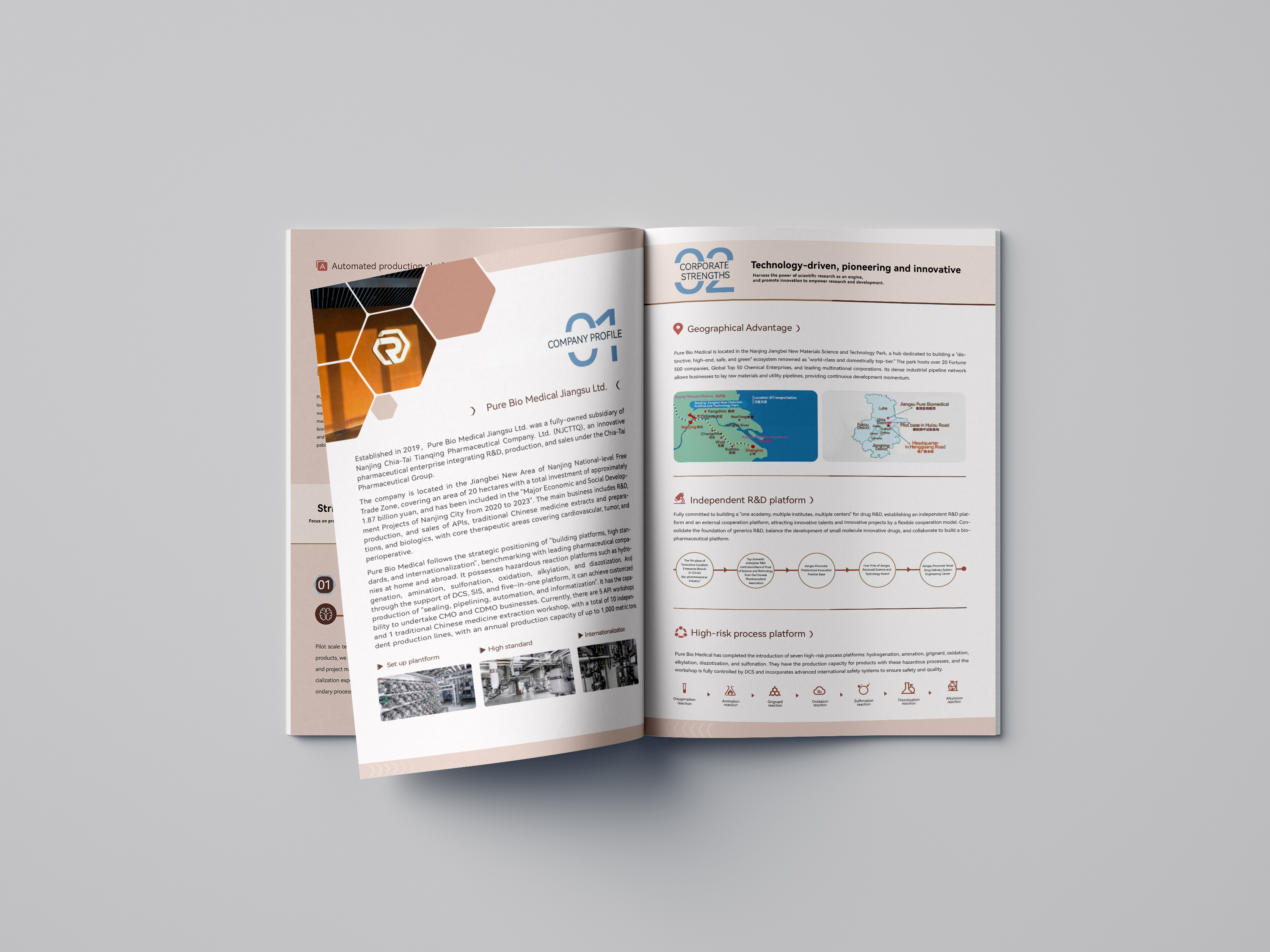 普润英文宣传册